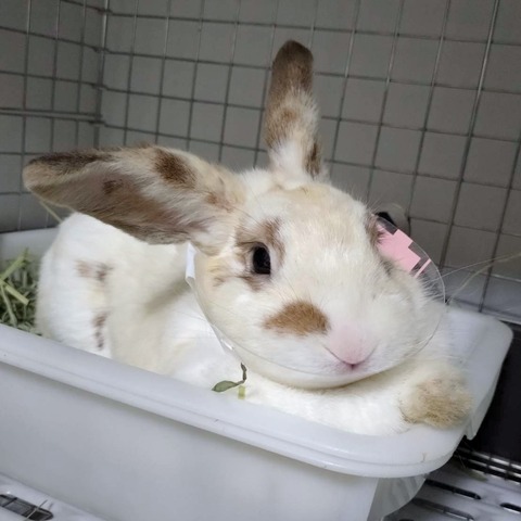 2025-03-11-16-31-46-549