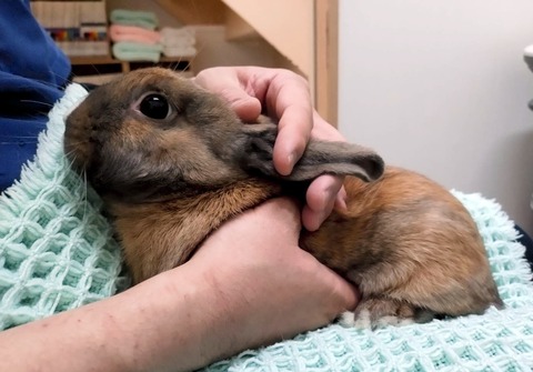 2025-04-16-17-25-05-744