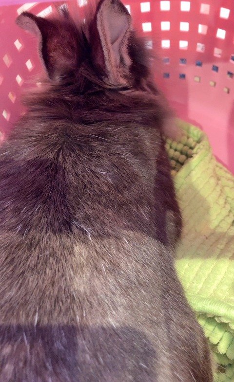 2025-12-06-01-02-35-882