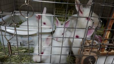 DSC_1448_convert_20230219050531