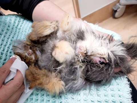 2024-10-02-15-56-23-939