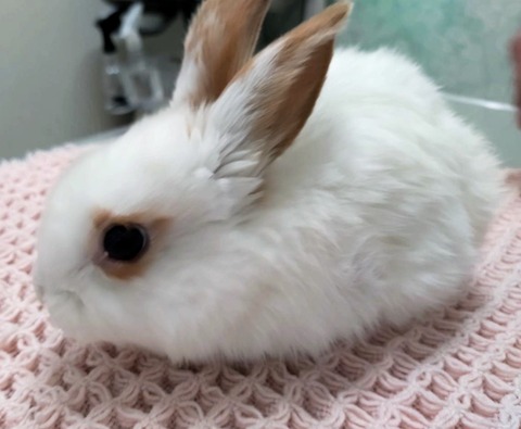 2025-04-16-15-25-11-770