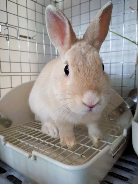 2025-02-03-00-11-54-949