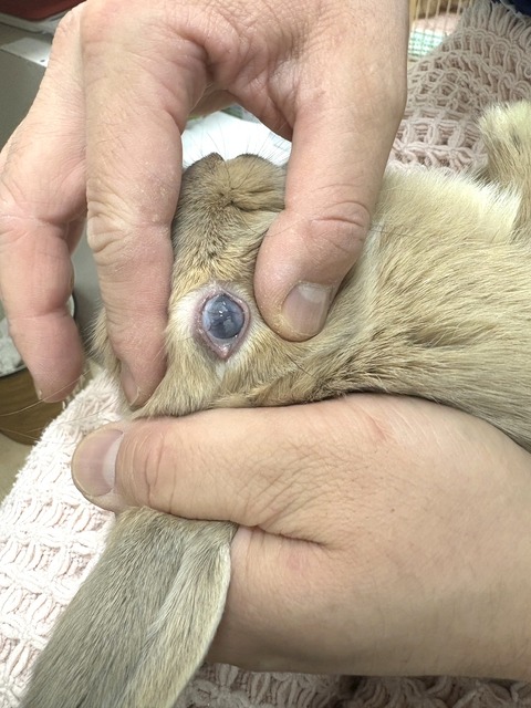 2025-05-08-00-02-23-127