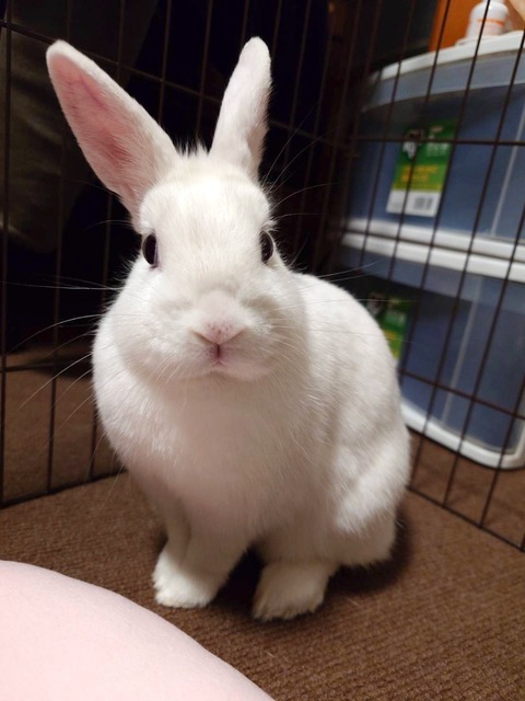 2025-04-16-20-19-57-513