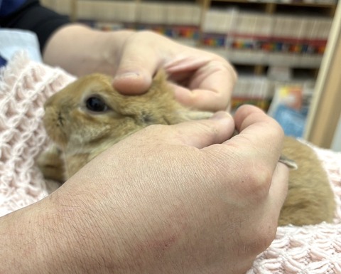 2025-05-08-00-27-25-929