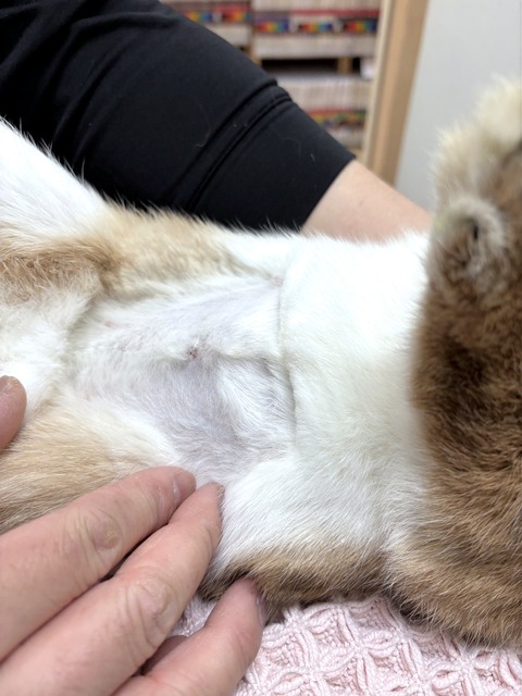 2025-04-16-17-13-36-923