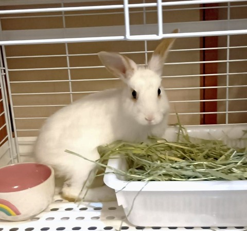 2025-05-08-00-43-22-926