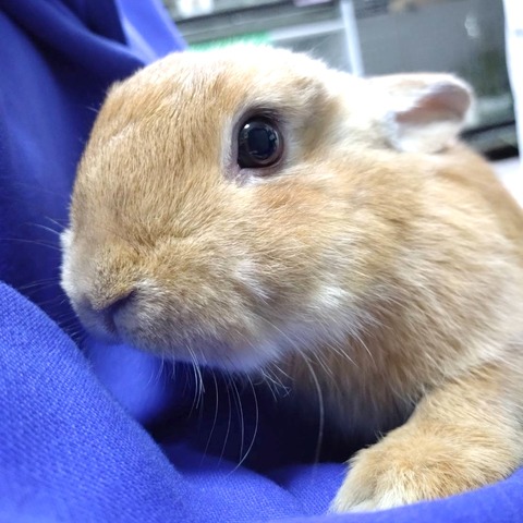 2025-03-11-16-15-58-815