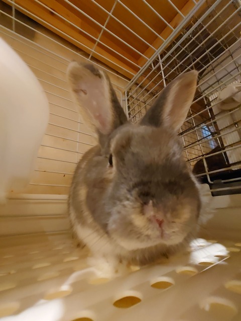 1706018032123