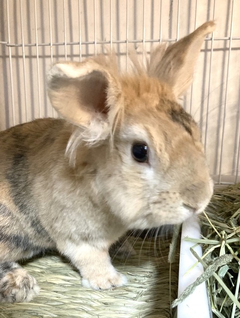 2025-05-07-23-59-04-567