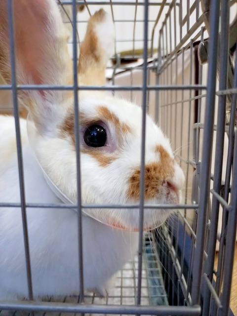 2025-04-16-17-10-54-143