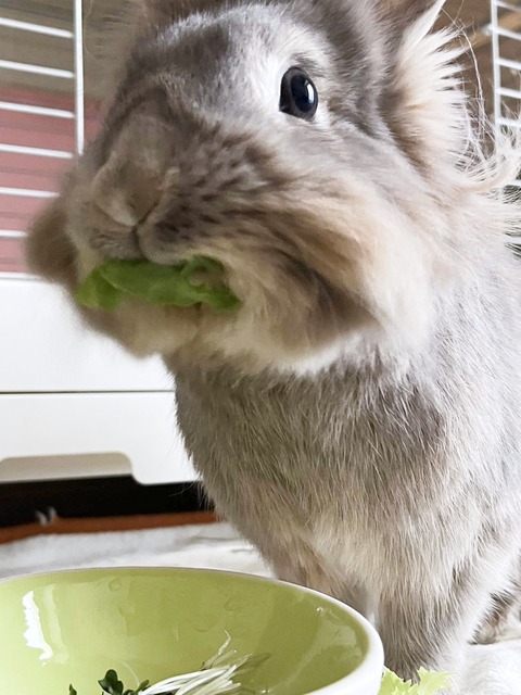 2025-02-03-00-24-55-197