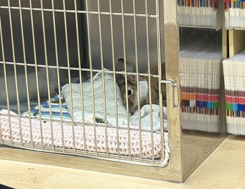 2025-12-06-00-51-07-082