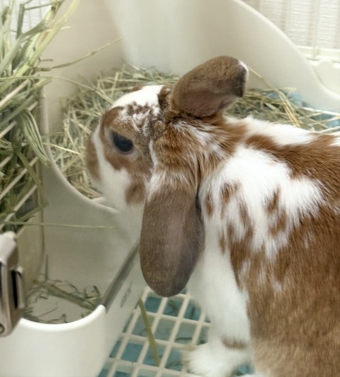 2025-12-06-01-13-11-867