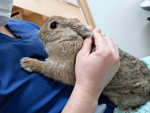 2025-04-16-17-17-11-194