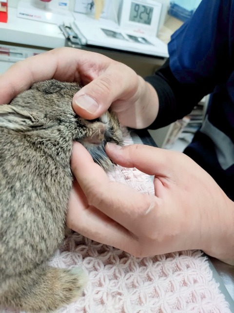 2025-02-03-00-18-15-269