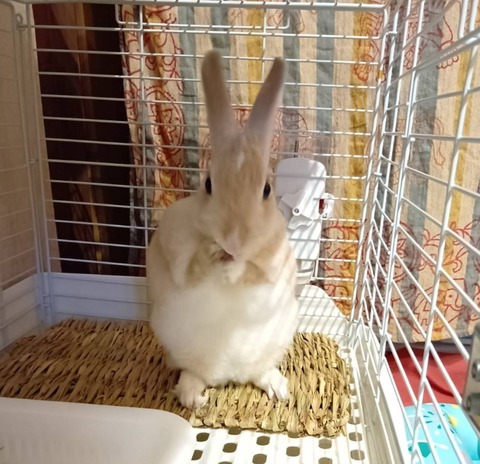 2025-12-06-01-26-15-553