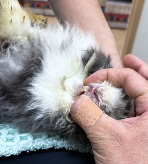 2025-02-03-00-03-13-934