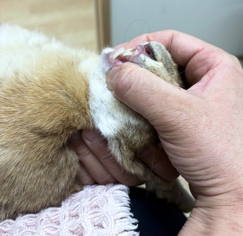 2025-04-16-17-13-13-256