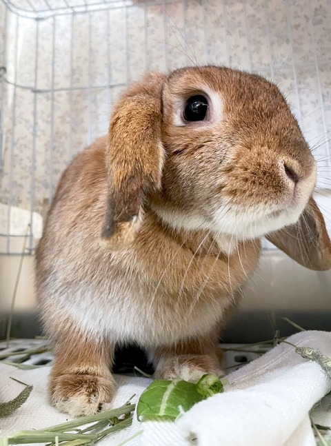 2025-04-17-14-45-24-513