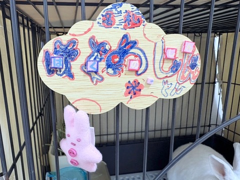 2025-02-03-00-06-24-921