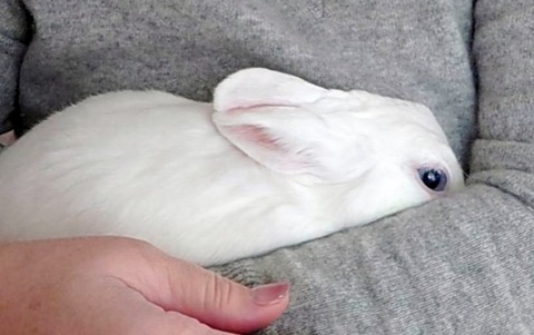 2025-04-16-17-14-28-617