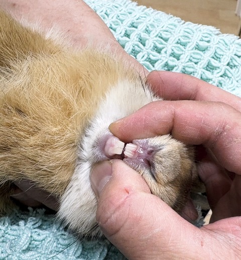 2025-05-07-23-52-28-091