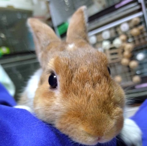 2025-03-11-16-19-17-153