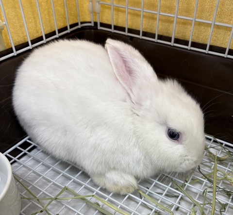 2025-05-08-19-01-42-434