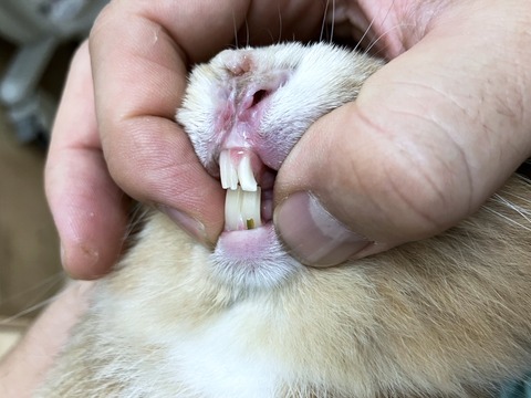 2024-10-02-17-15-41-014