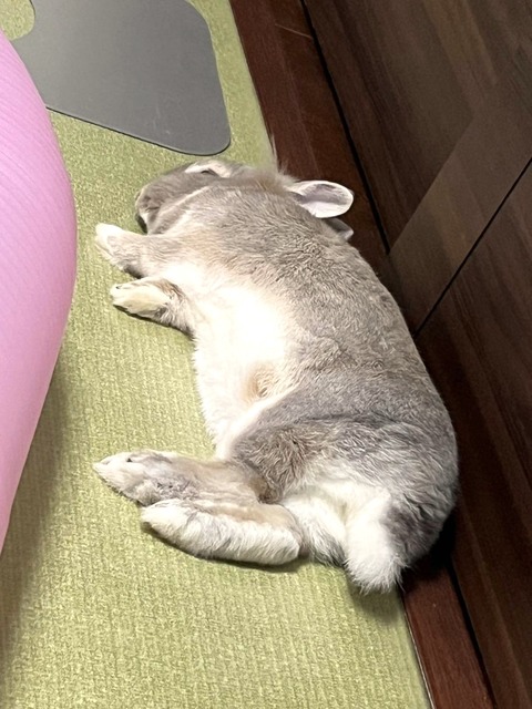 2024-07-27-17-48-57-042