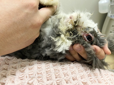 2024-10-02-16-02-48-271