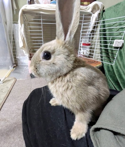 2025-05-08-18-16-27-153