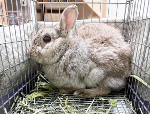 2025-05-08-00-00-27-570