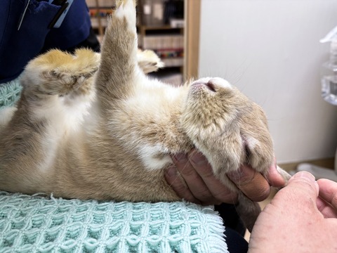 2025-02-03-00-14-37-688