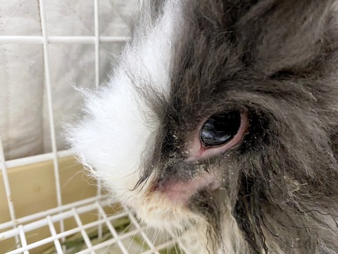 2024-07-27-17-34-43-978