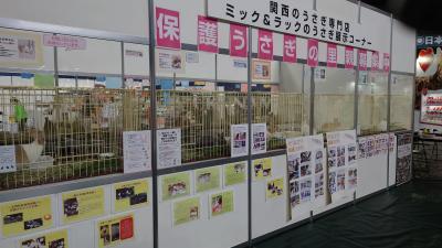 ペット王国202203