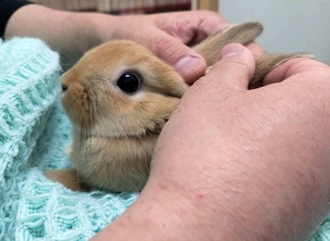 2025-05-08-00-11-05-042