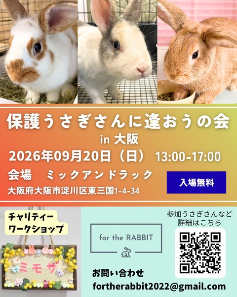 1788015453383