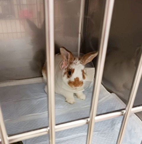 2025-12-06-01-05-40-584