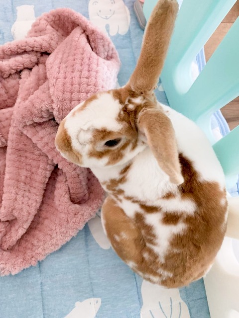 2024-07-27-17-28-51-086