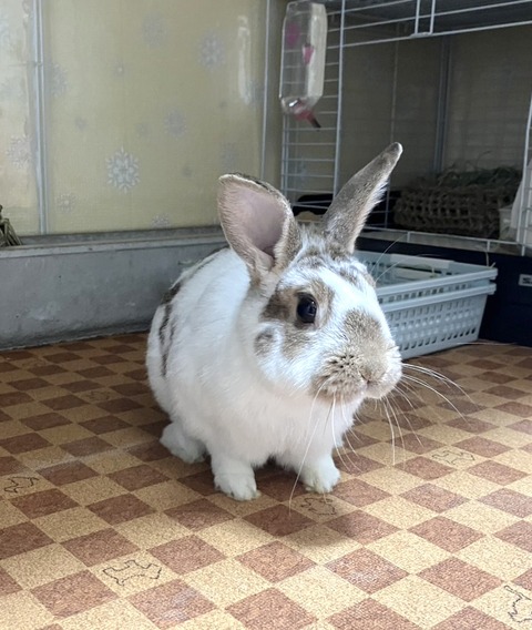 2025-06-13-20-00-55-943