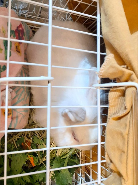 2024-07-27-17-27-52-563