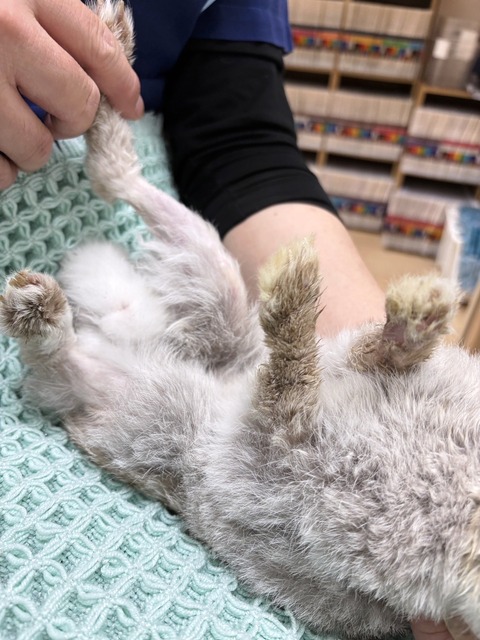 2025-05-07-23-53-51-329