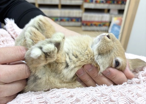 2025-05-08-00-25-37-614