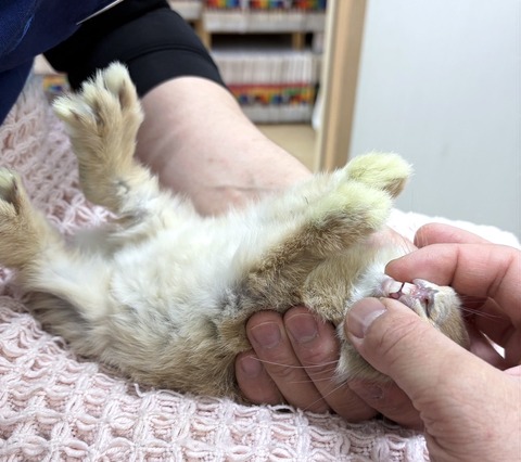 2025-05-08-00-28-52-630