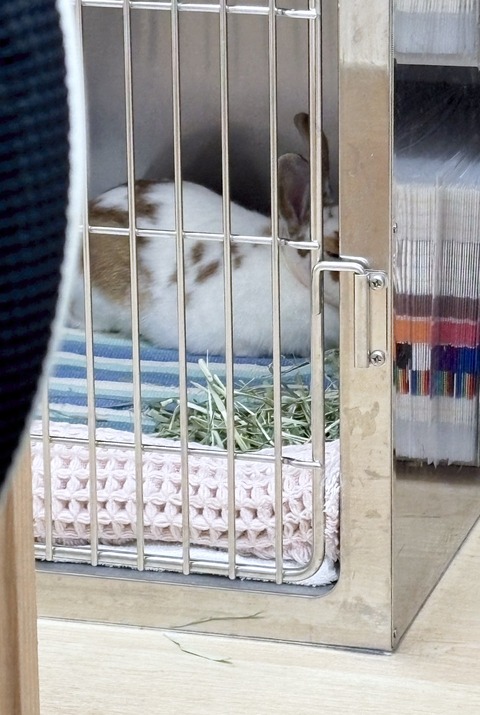 2025-04-16-17-28-07-721