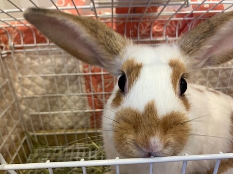 dc60ee7d