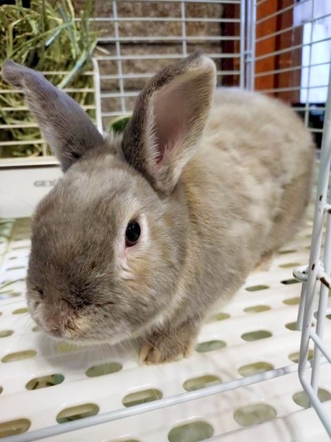 2025-04-16-19-22-35-536